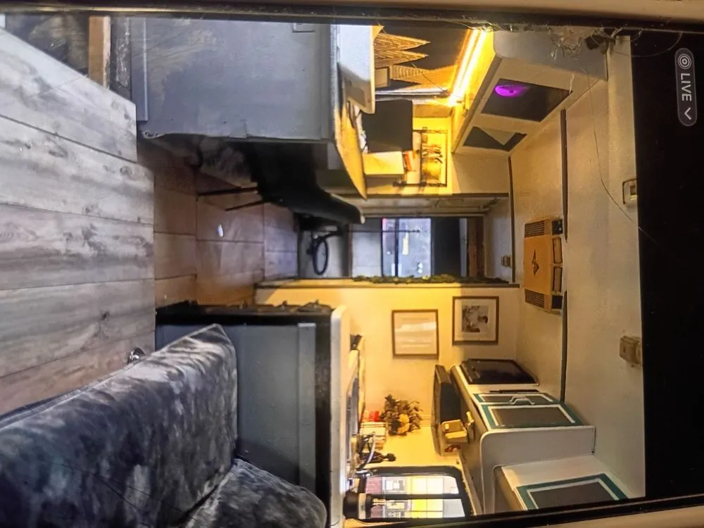 Top-rated yard maintenance experts serving Morgan Hill, CA - Mr Greene’s Team