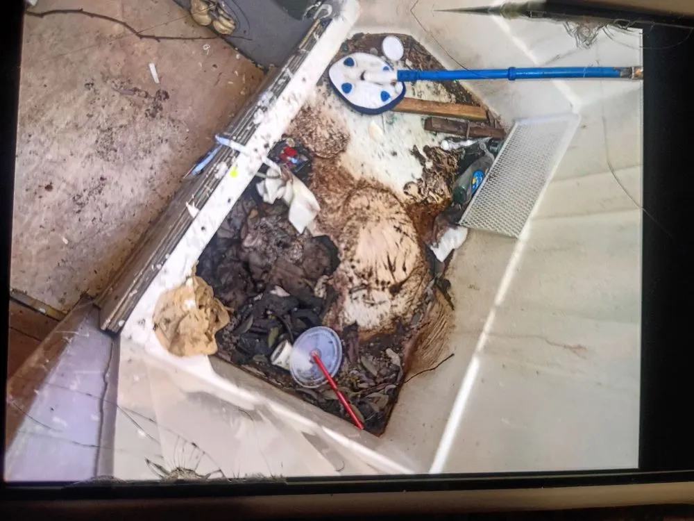 Reliable yard maintenance for residential properties across Morgan Hill, CA - Mr Greene’s Team