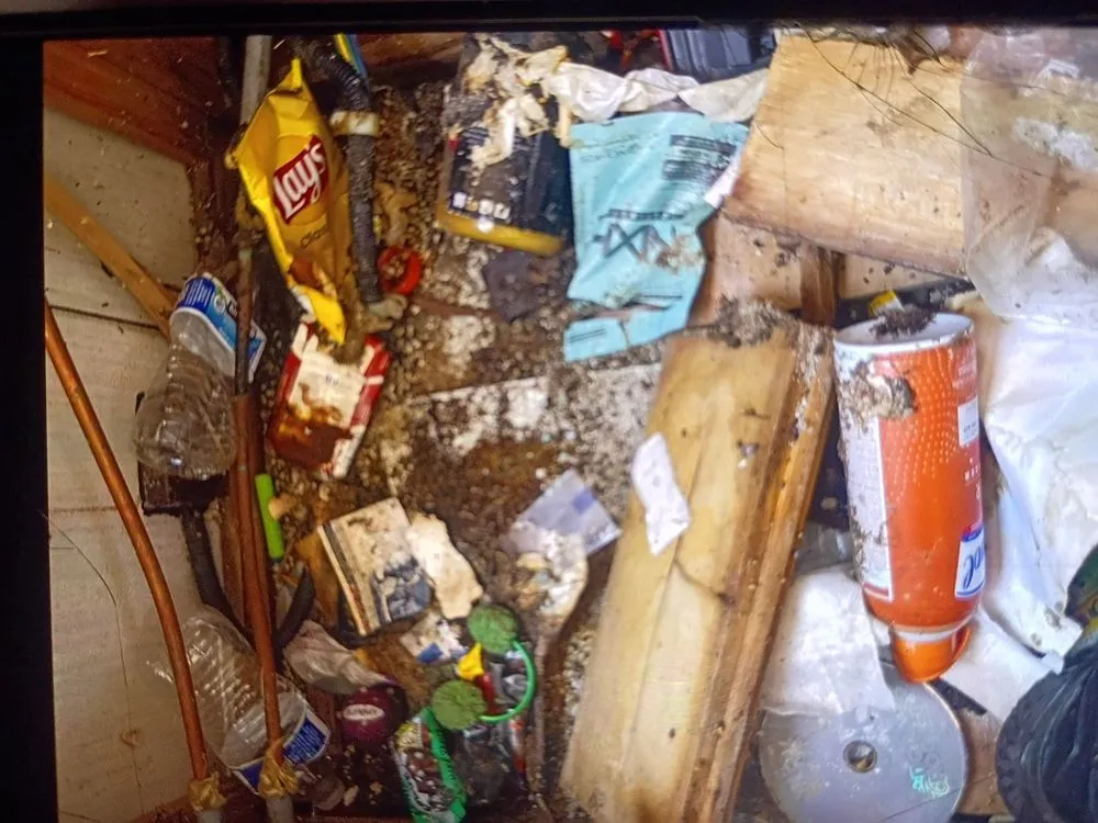 Custom lawn mowing service in Morgan Hill, CA by Mr Greene’s Team