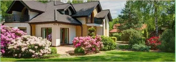 Professional landscaping services in Sarasota, FL by Mr. Greenjeans Inc Tree Surgeons & Landscape Design