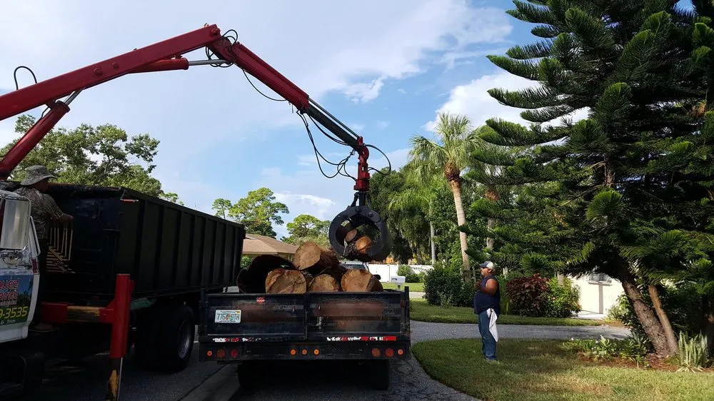 Local lawn care service for beautiful yards across Sarasota, FL - Mr. Greenjeans Inc Tree Surgeons & Landscape Design