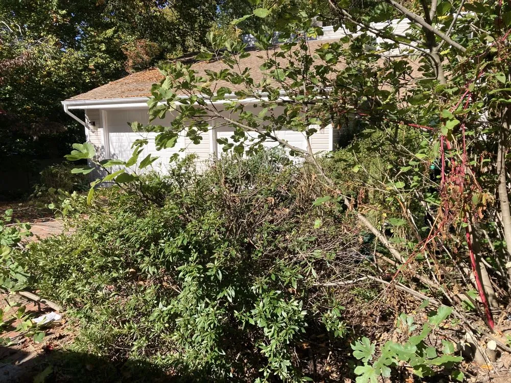 Affordable outdoor landscaping in Richmond, VA by Mr Greens Landscaping