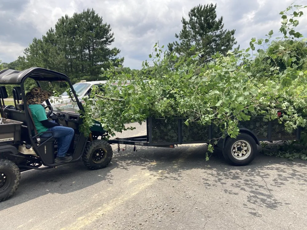 Custom yard maintenance for year-round maintenance across Richmond, VA - Mr Greens Landscaping