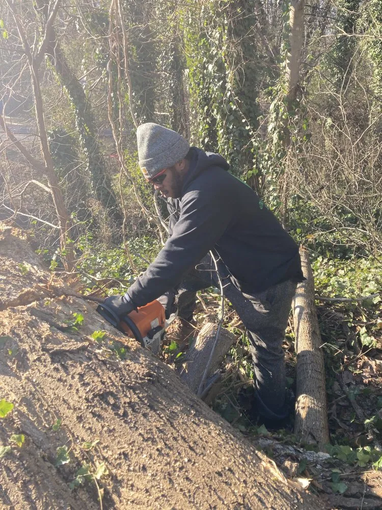 Professional landscaping services experts serving Richmond, VA - Mr Greens Landscaping