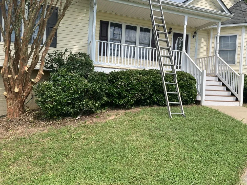 Top-rated residential landscaping experts serving Richmond, VA - Mr Greens Landscaping