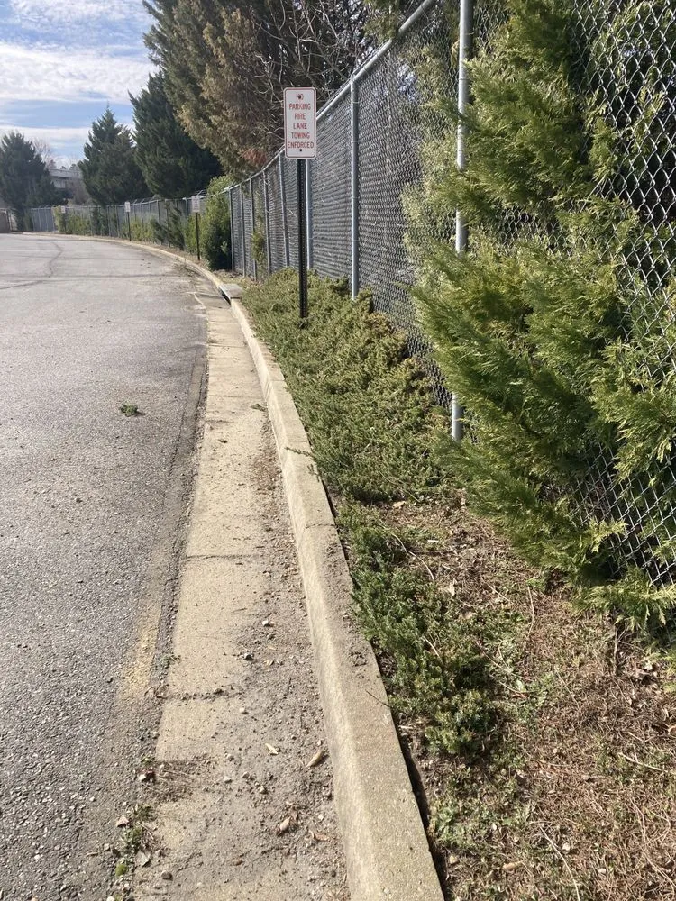 Local landscaping services for beautiful yards across Richmond, VA - Mr Greens Landscaping