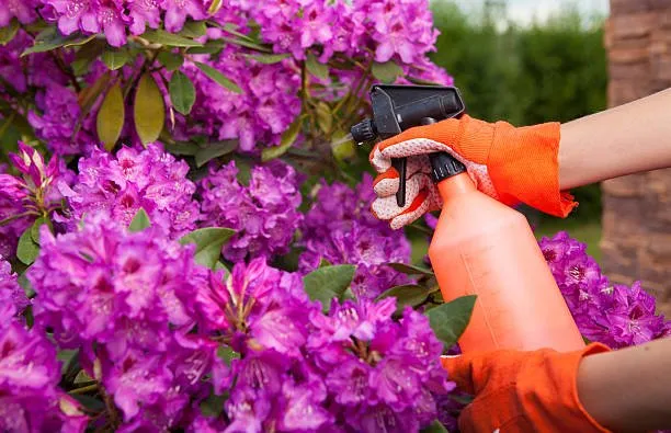 Local garden landscaping in Lakewood, OH - Mr Greens Lawn Care