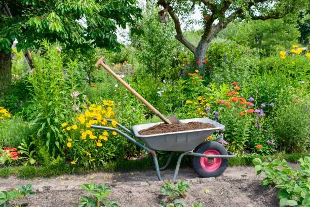 Custom yard maintenance for beautiful yards across Lakewood, OH - Mr Greens Lawn Care