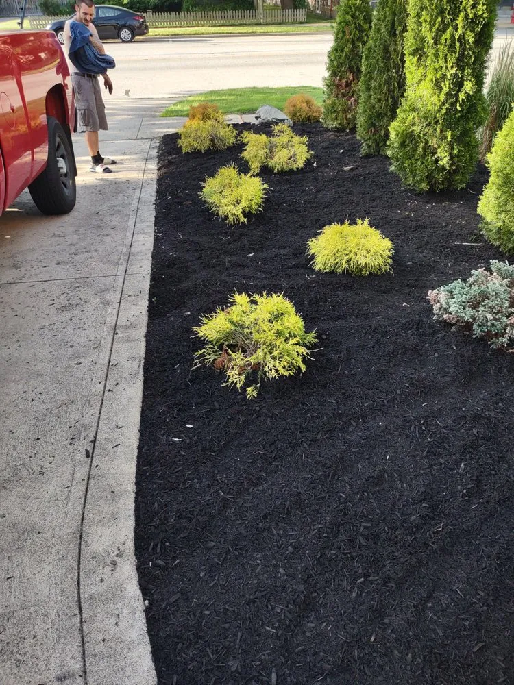 Expert landscape installation in Lakewood, OH by Mr Greens Lawn Care