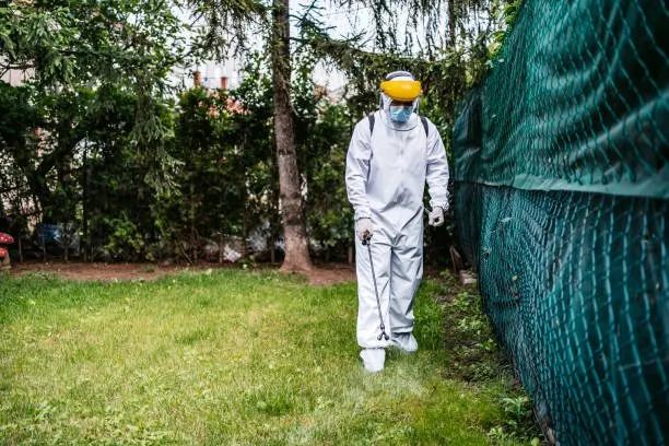 Custom outdoor landscaping experts serving Lakewood, OH - Mr Greens Lawn Care