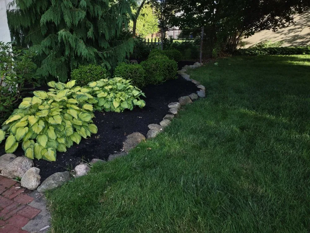 Affordable yard maintenance in Lakewood, OH - Mr Greens Lawn Care