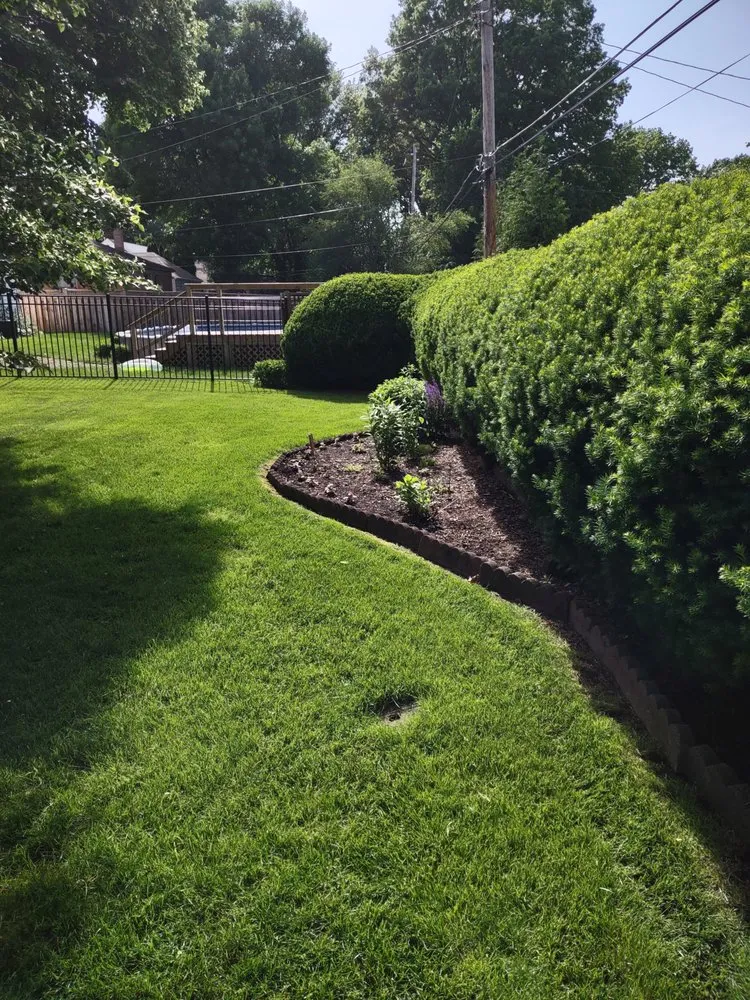 Expert yard cleanup service in Lakewood, OH - Mr Greens Lawn Care