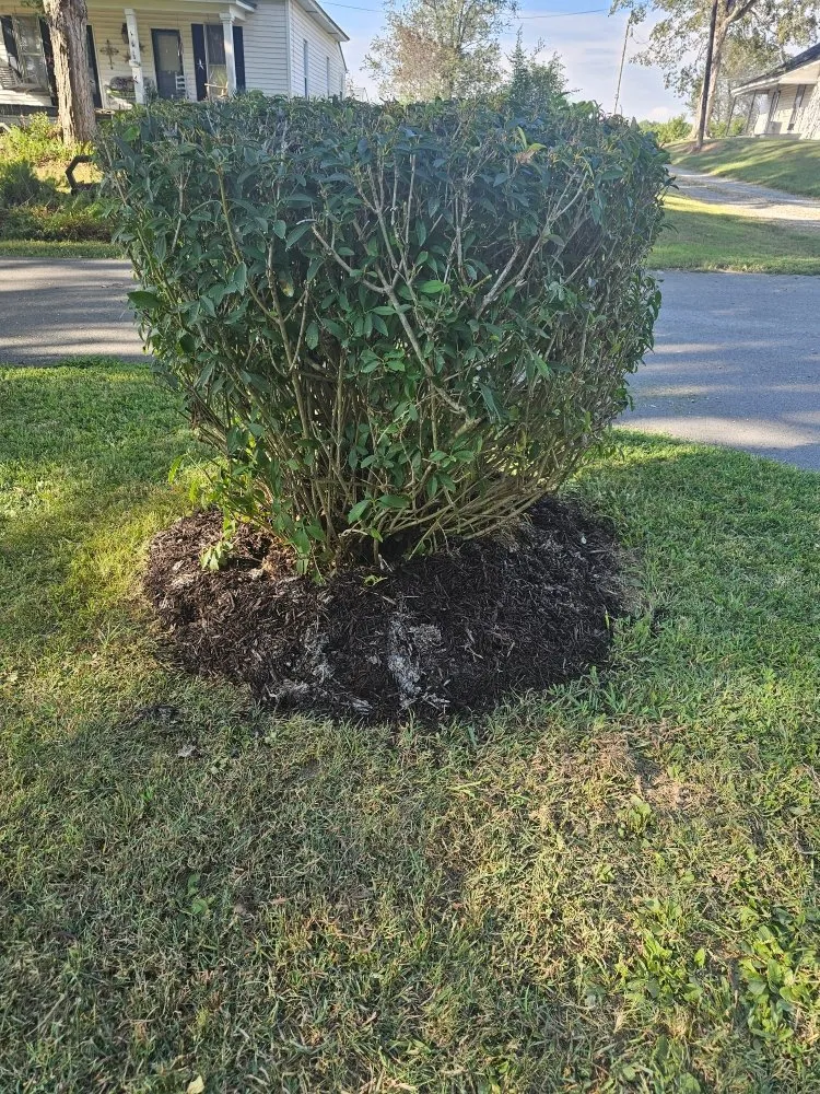 Professional yard cleanup service for beautiful yards in Orlinda, TN by Mr Greens Lawn Pro's