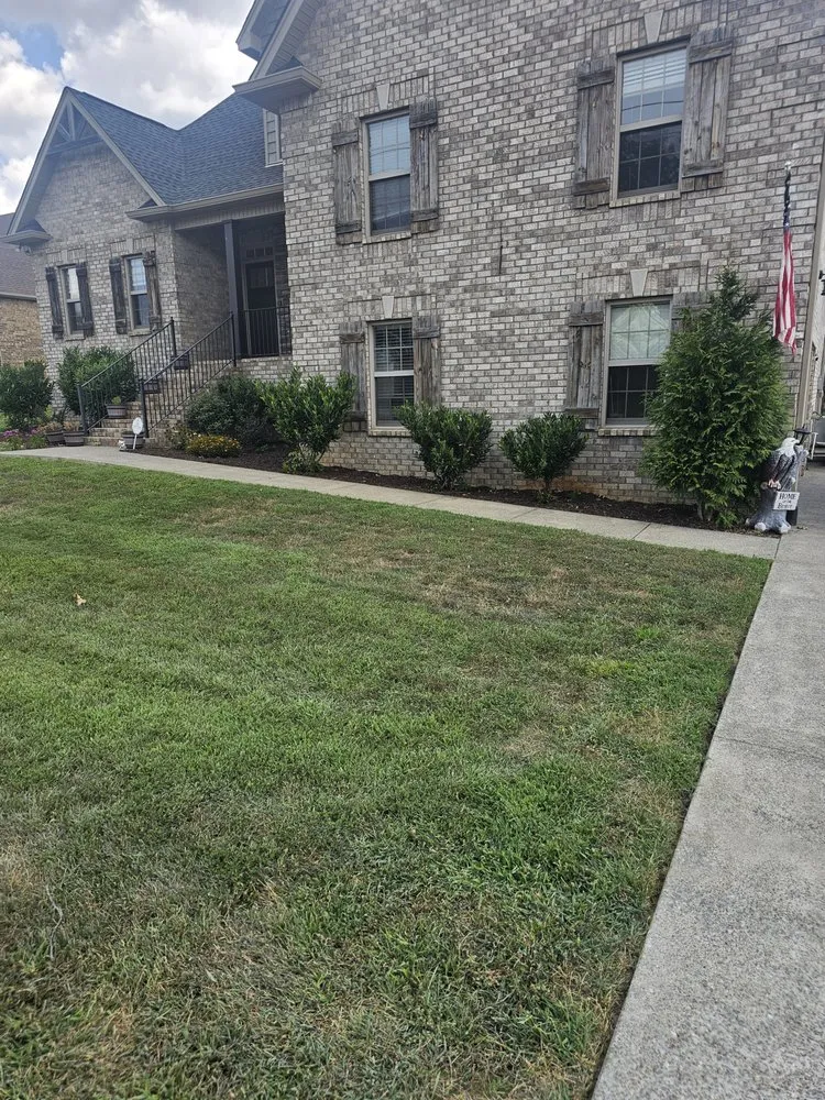 Top-rated lawn care service experts serving Orlinda, TN - Mr Greens Lawn Pro's