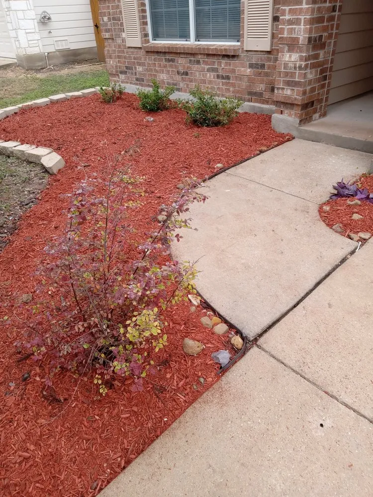 Professional lawn care service in San Antonio, TX by Mr Greenthumb