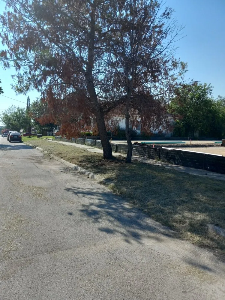 Reliable residential landscaping experts serving San Antonio, TX - Mr Greenthumb