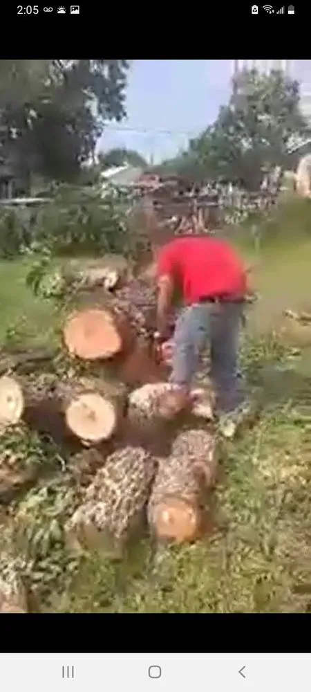 Trusted landscaping services in San Antonio, TX by Mr Greenthumb