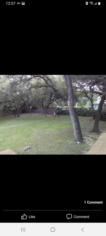 Top-rated yard cleanup service for homes across San Antonio, TX - Mr Greenthumb