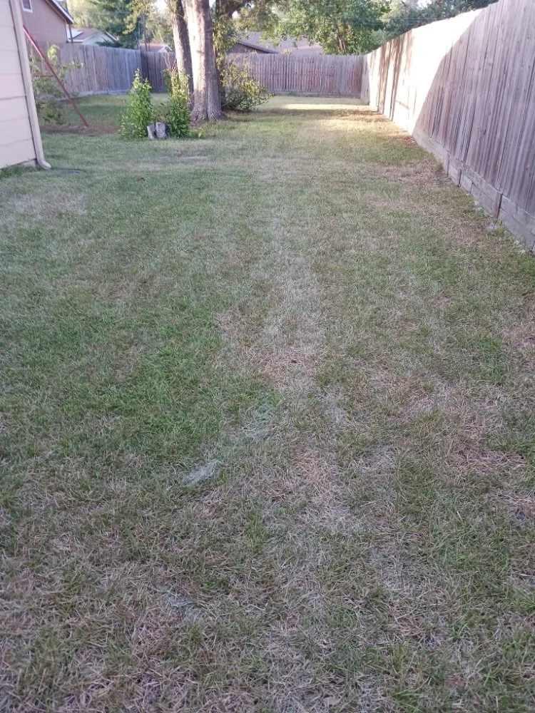 Professional yard maintenance in Mont Belvieu, TX by Mr G's Landscaping