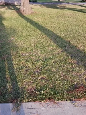 Mr G's Landscaping Logo