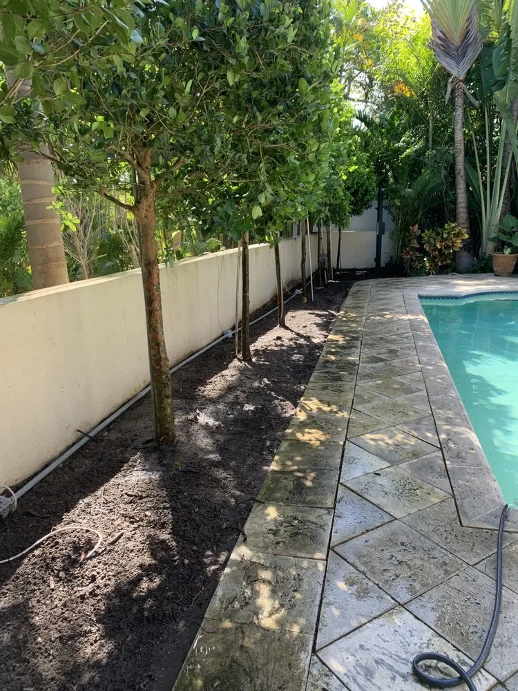 Affordable outdoor landscaping in Lake Worth, FL by Mr Hauling