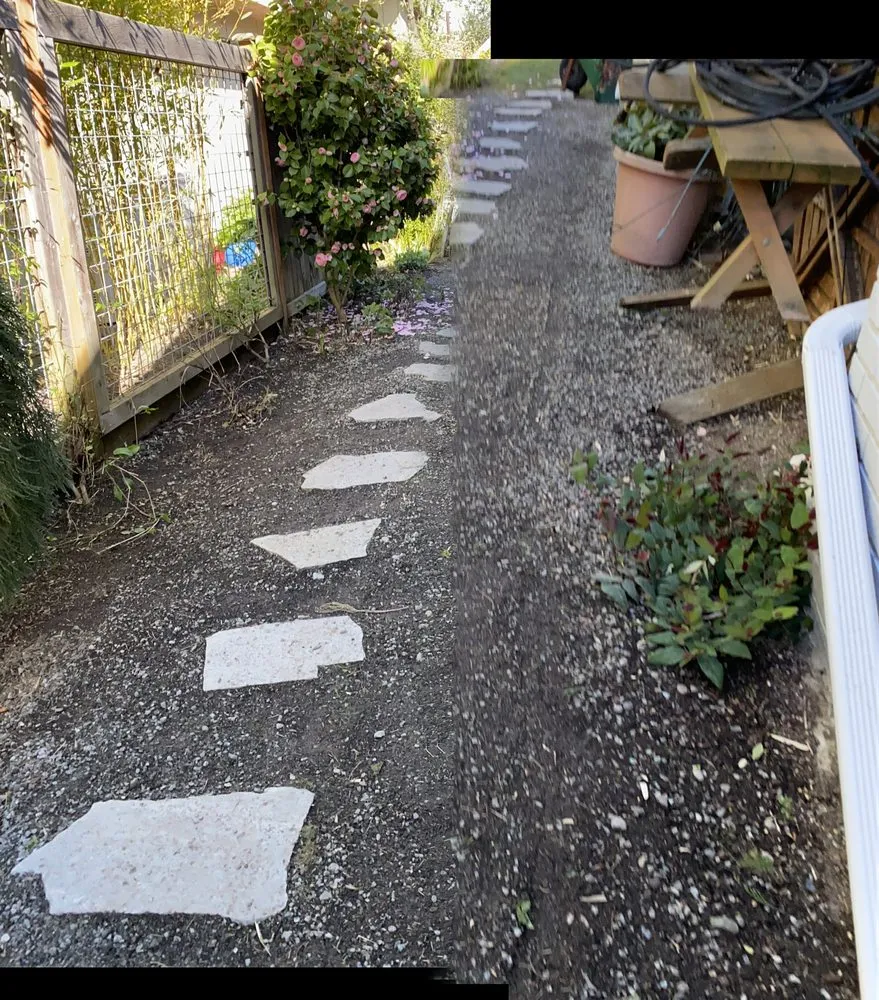 Affordable landscaping services experts serving Des Moines, WA - Mr. Ho's Gardening & Landscaping