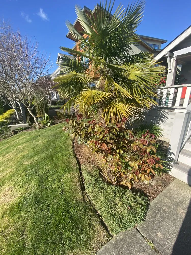 Trusted lawn mowing service in Des Moines, WA by Mr. Ho's Gardening & Landscaping