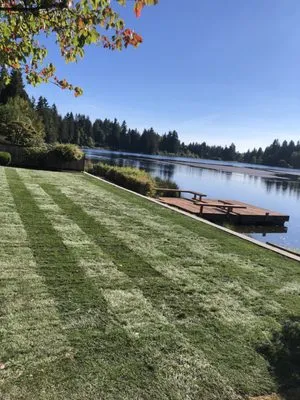 Mr. Ho's Gardening & Landscaping