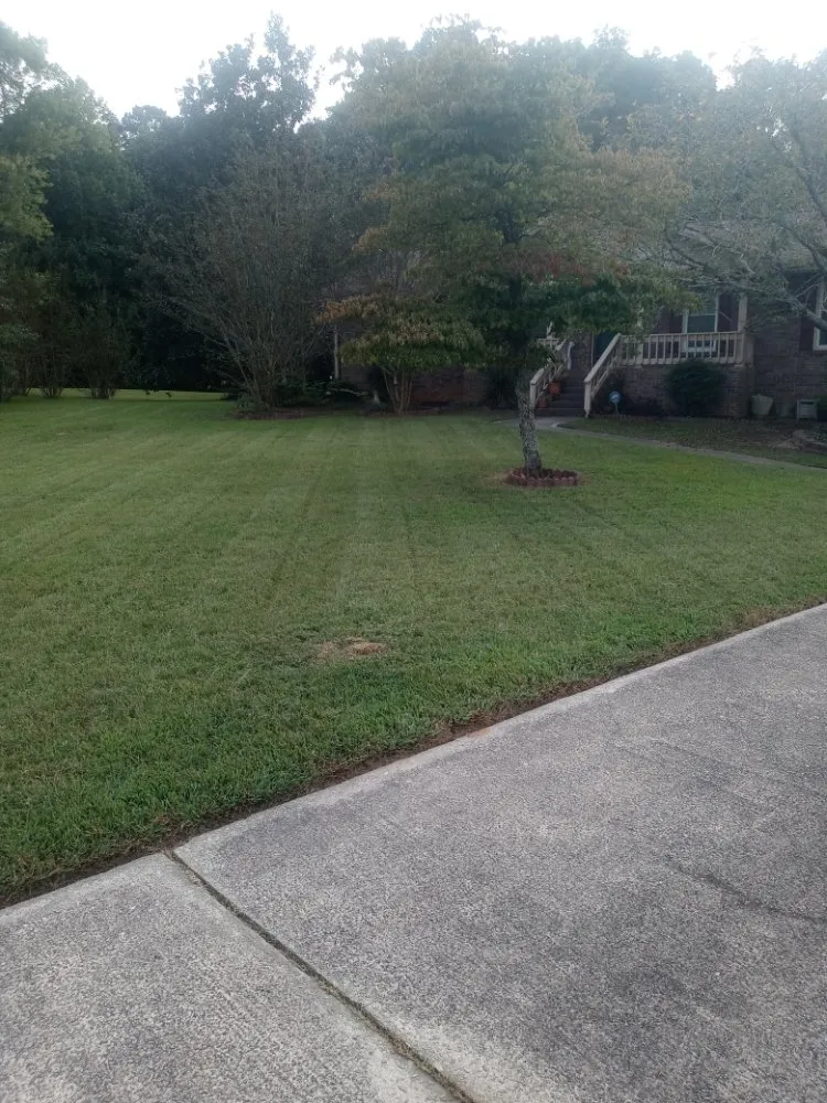 Affordable garden landscaping experts serving Anniston, AL - Mr House Services