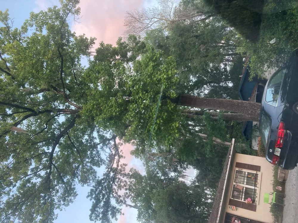 Professional lawn mowing service in Gainesville, FL by Mr. I.M. Log'n