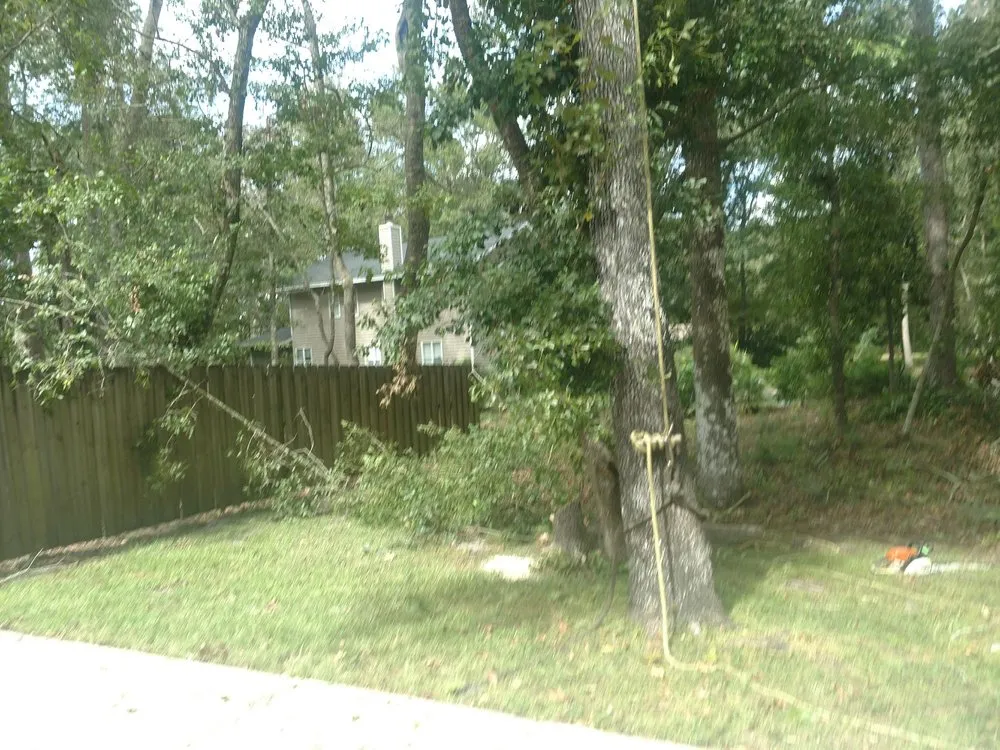 Trusted landscaping services in Gainesville, FL - Mr. I.M. Log'n