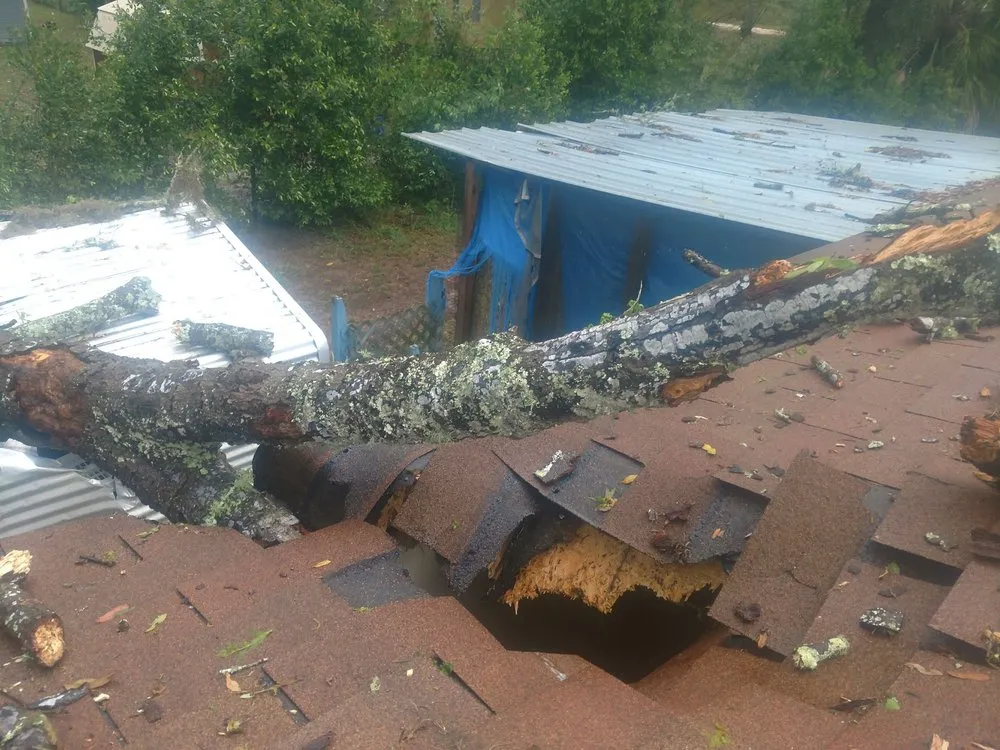 Top-rated residential landscaping in Gainesville, FL by Mr. I.M. Log'n