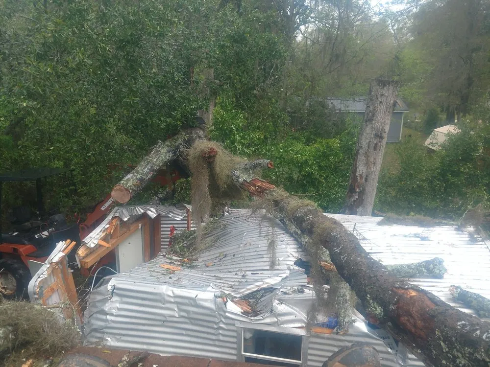 Reliable yard maintenance for homes in Gainesville, FL by Mr. I.M. Log'n