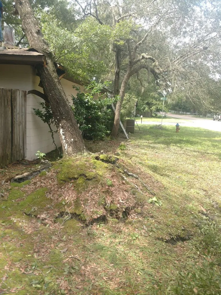 Custom yard maintenance experts serving Gainesville, FL - Mr. I.M. Log'n