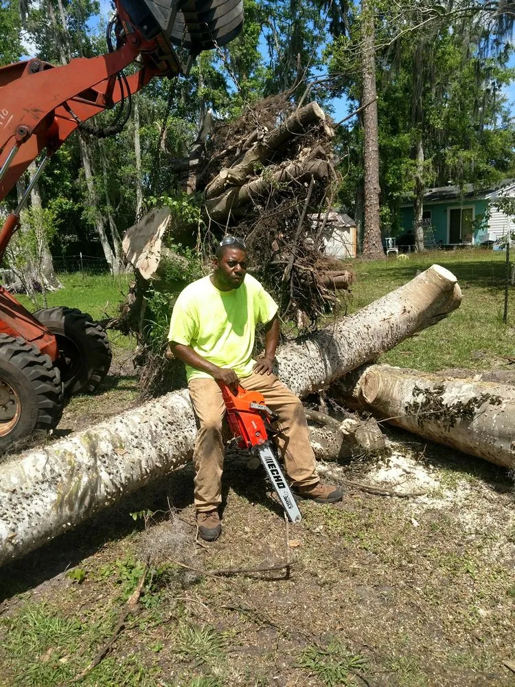 Trusted lawn care service near you in Gainesville, FL by Mr. I.M. Log'n