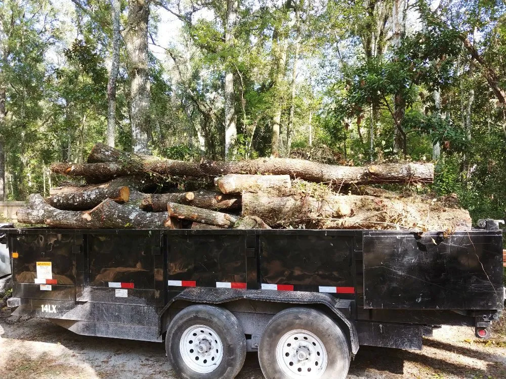 Top-rated yard cleanup service for beautiful yards in Gainesville, FL by Mr. I.M. Log'n