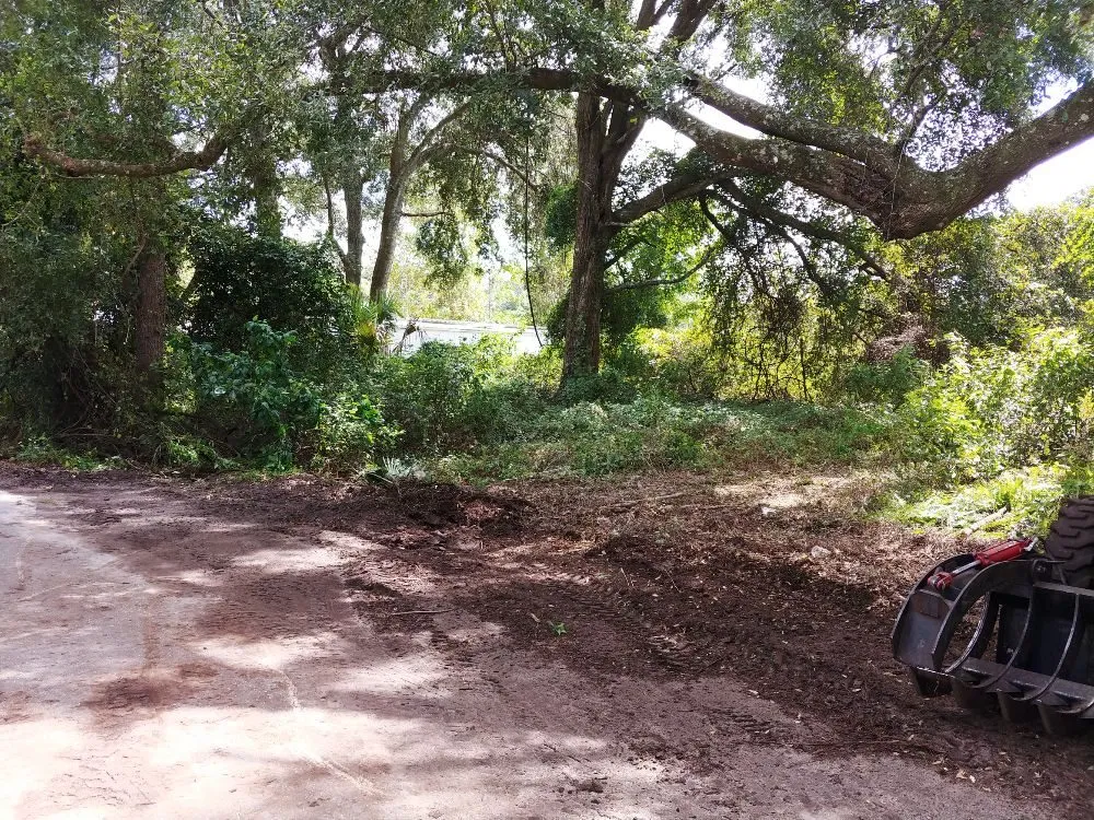 Top-rated garden landscaping for year-round maintenance in Gainesville, FL by Mr. I.M. Log'n