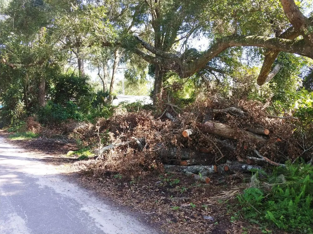 Professional lawn mowing service experts serving Gainesville, FL - Mr. I.M. Log'n