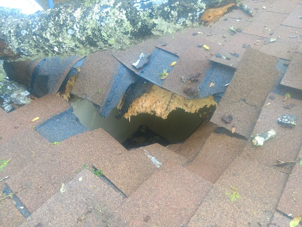 Reliable landscape installation in Gainesville, FL by Mr. I.M. Log'n