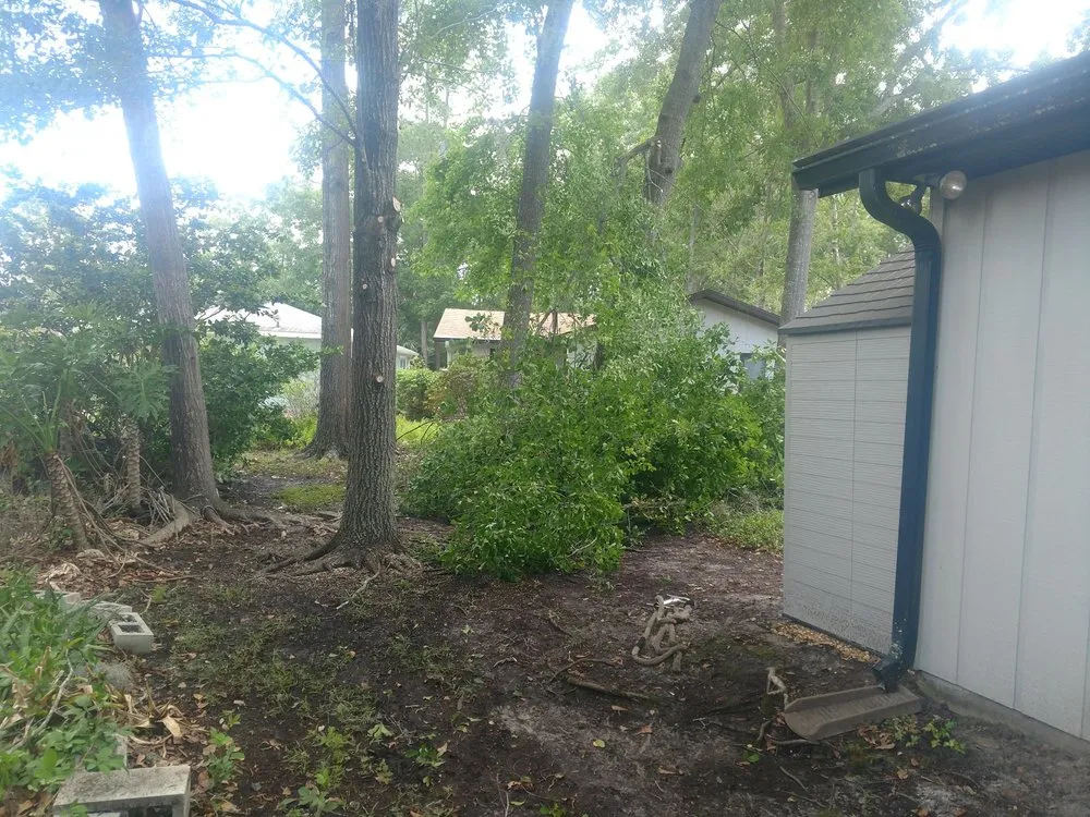 Top-rated lawn mowing service near you in Gainesville, FL by Mr. I.M. Log'n