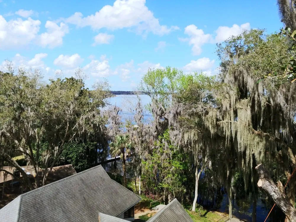 Reliable outdoor landscaping in Gainesville, FL by Mr. I.M. Log'n