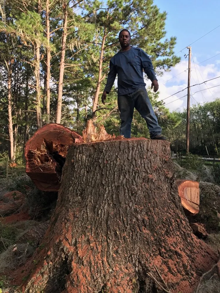 Reliable lawn mowing service experts serving Gainesville, FL - Mr. I.M. Log'n