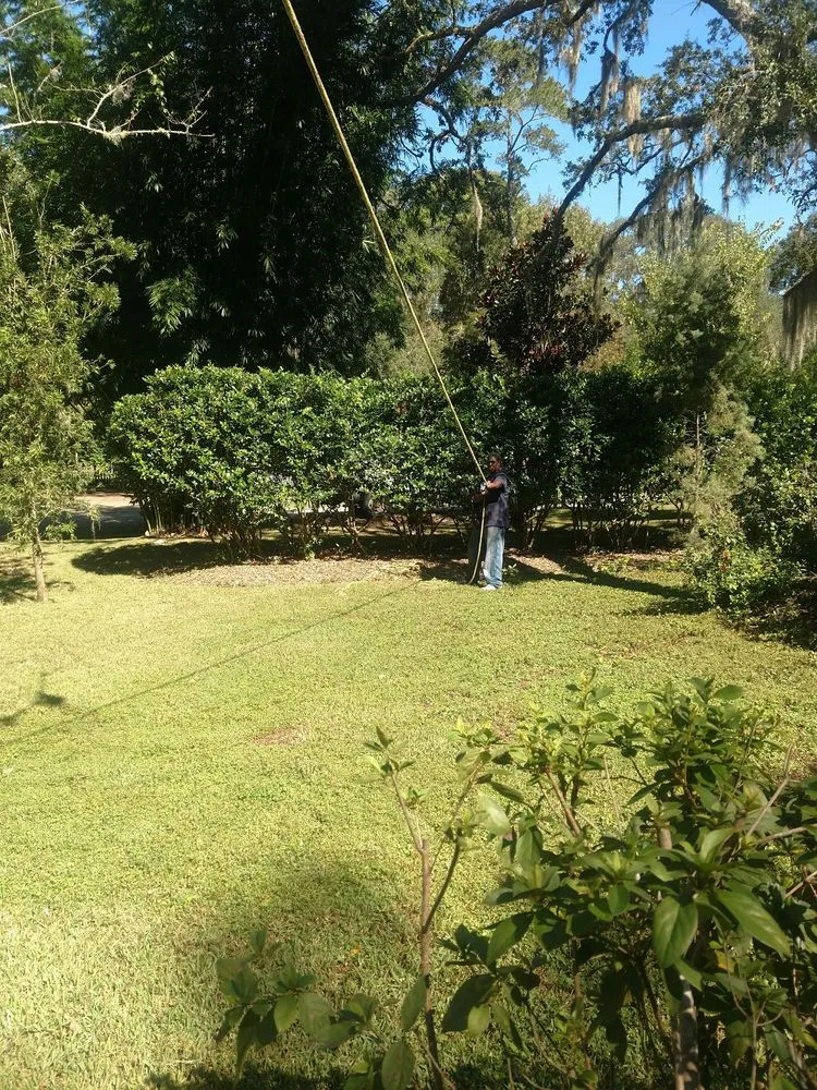 Local yard maintenance in Gainesville, FL - Mr. I.M. Log'n