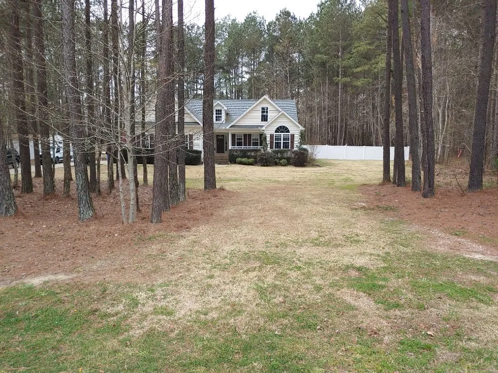 Expert yard maintenance in Middlesex, NC - Mr J Earps