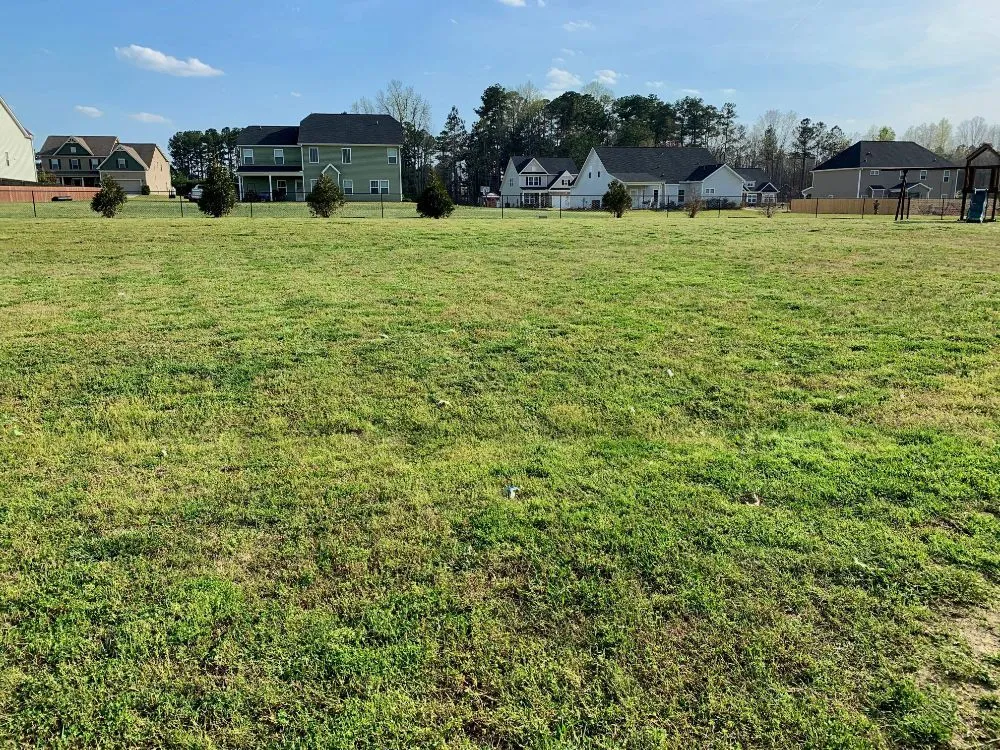 Expert landscape design experts serving Middlesex, NC - Mr J Earps