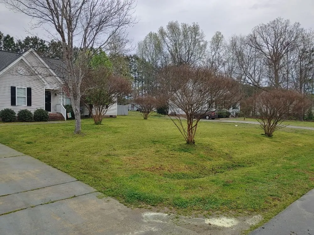 Top-rated yard cleanup service experts serving Middlesex, NC - Mr J Earps