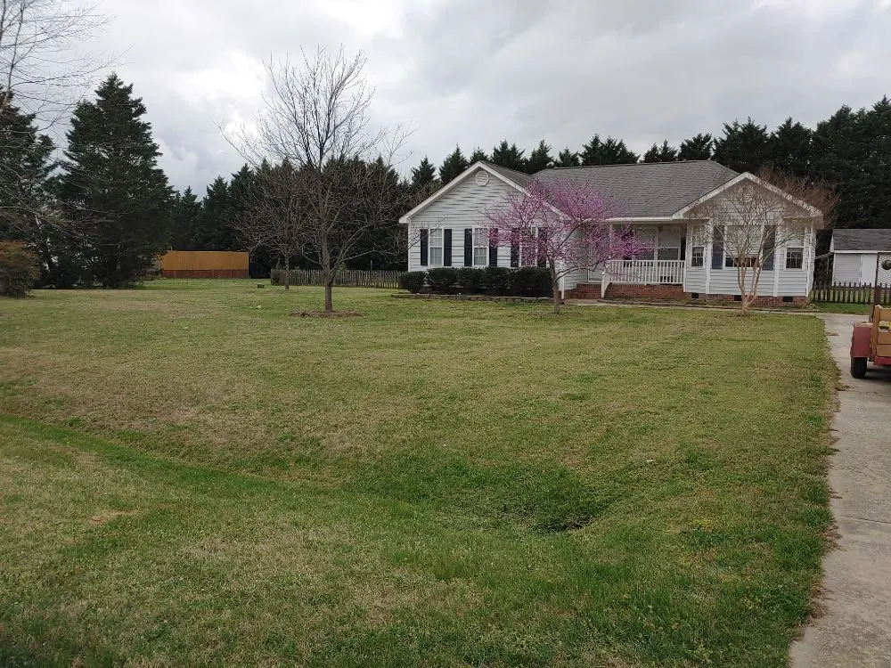 Top-rated landscaping services for homes in Middlesex, NC by Mr J Earps
