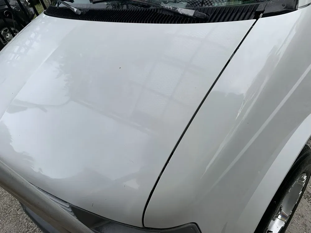 Top-rated yard maintenance experts serving Fort Lauderdale, FL - Mr JJ Best Of The Best