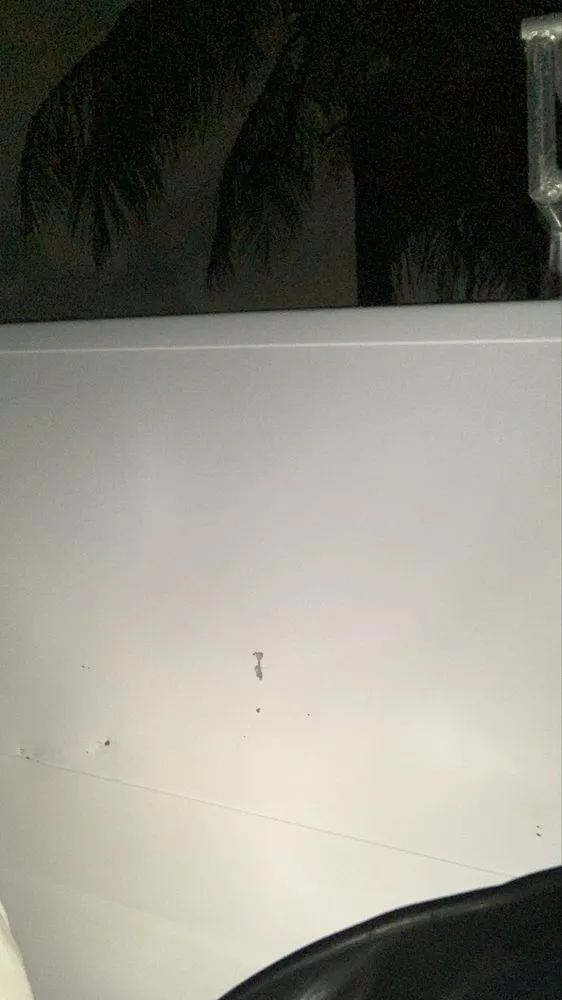 Professional outdoor landscaping in Fort Lauderdale, FL - Mr JJ Best Of The Best