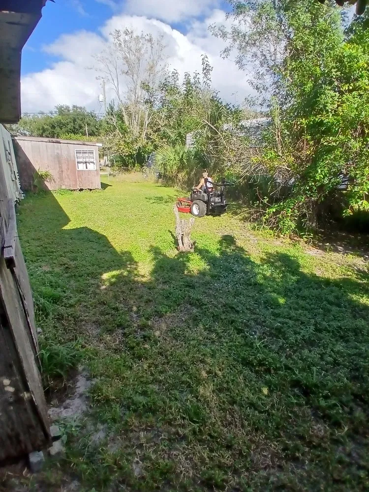 Local landscape installation for year-round maintenance across Cocoa, FL - Mr J's Open Opportunities